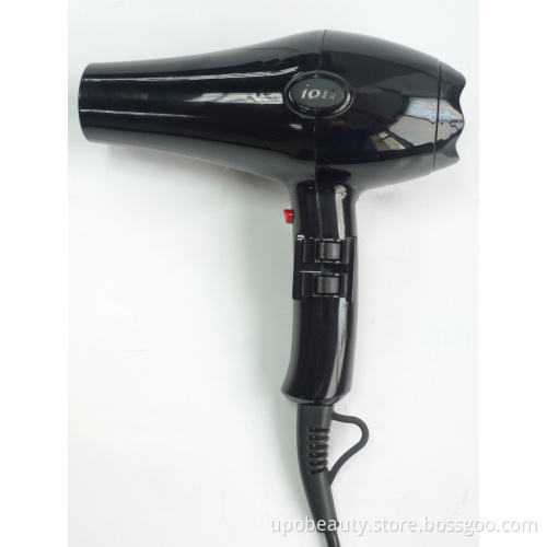 Ionic Light Professional Hair Dryer #5869